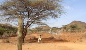 Photo of constructed Ntalaban Fence North of Lewa Wildlife Conservancy. This fence will reduce human wildlife conflict in the area between the community and wildlife.