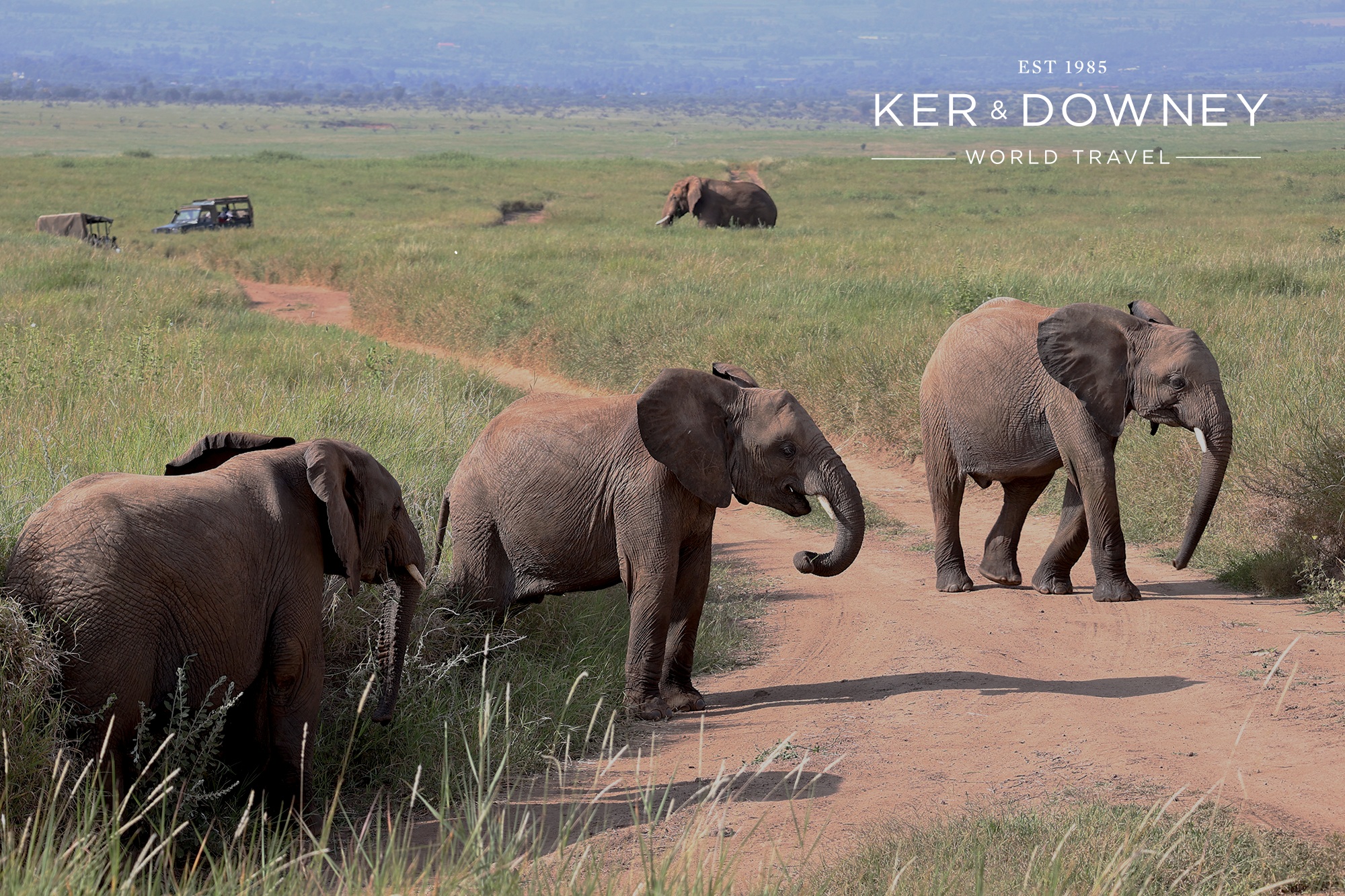 Lewa Wildlife Conservancy Partners with Ker & Downey World Travel