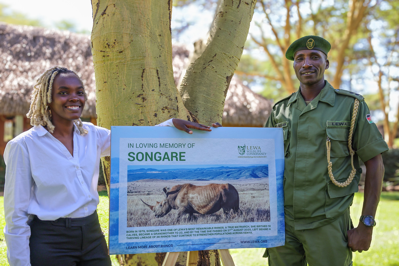 World Rhino Day at Lewa Conservancy: A Celebration of Survival and Stewardship