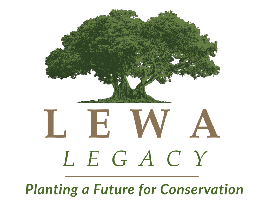 Lewa Tree Lewa Legacy - Lewa Wildlife Conservancy